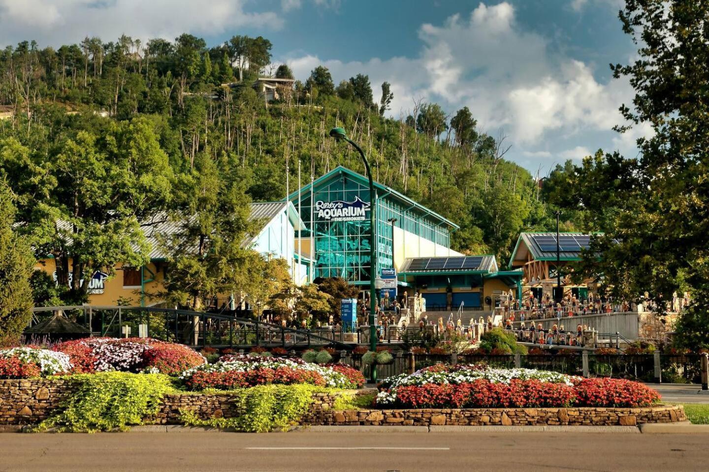 Вилла Views I Mins To Dollywood I Hot Tub I Pool Table Севьервилл Экстерьер фото