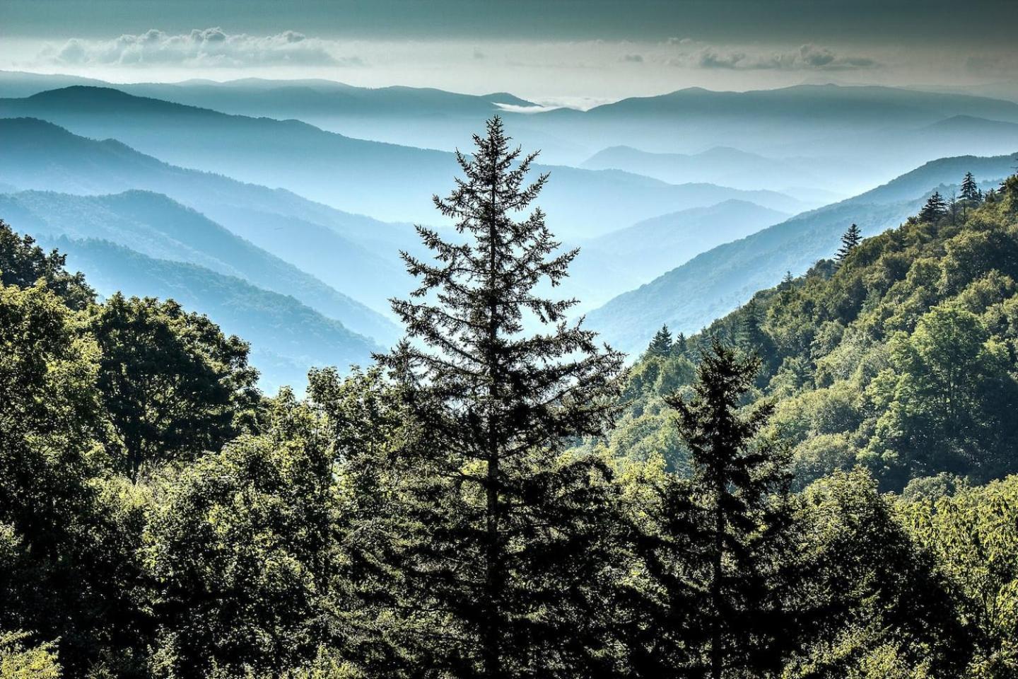Вилла Views I Mins To Dollywood I Hot Tub I Pool Table Севьервилл Экстерьер фото