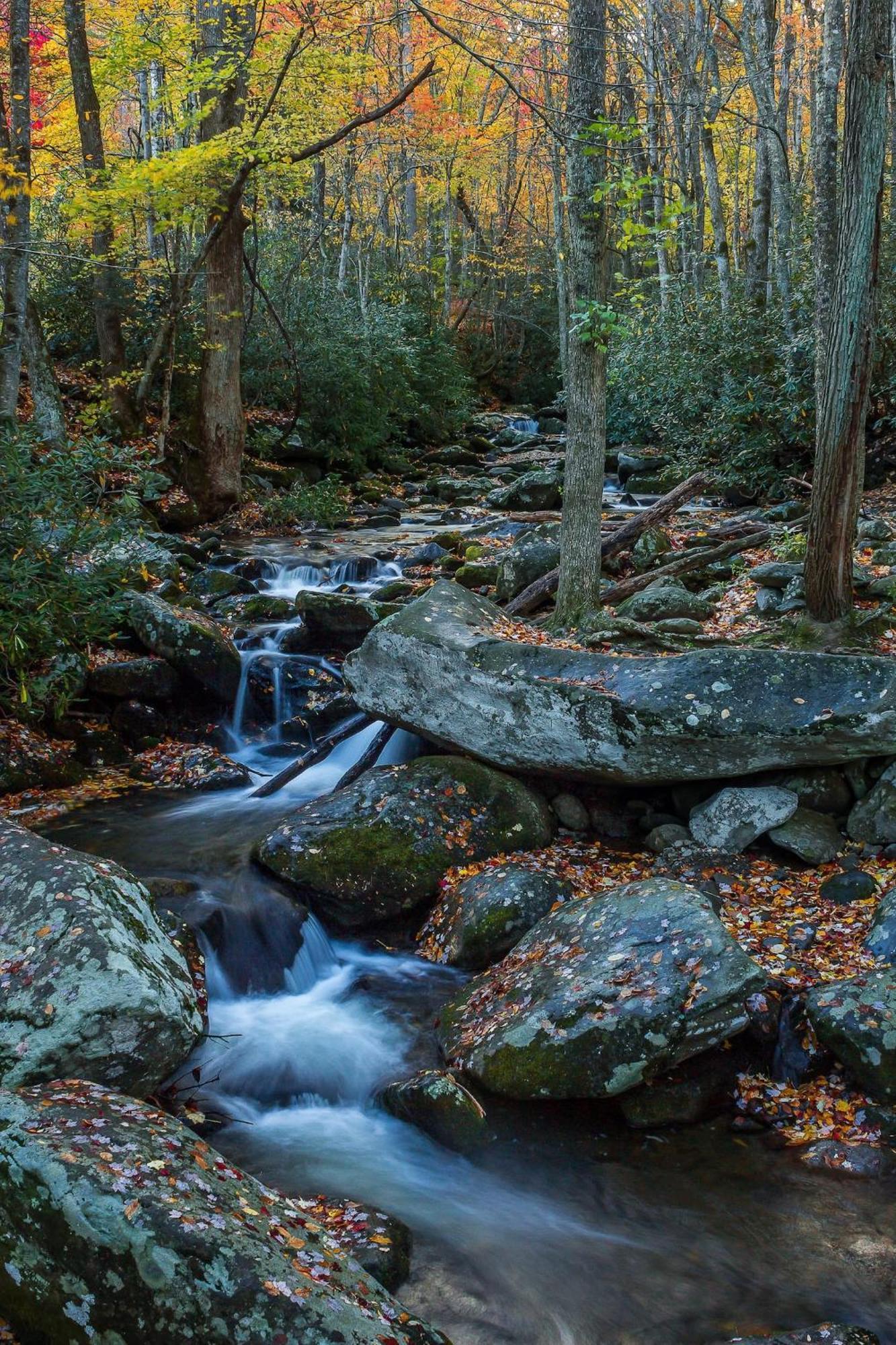 Вилла Views I Mins To Dollywood I Hot Tub I Pool Table Севьервилл Экстерьер фото